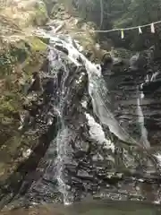 大本山七宝瀧寺の自然