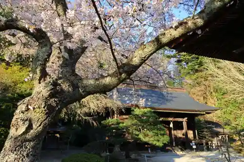 田村大元神社の自然
