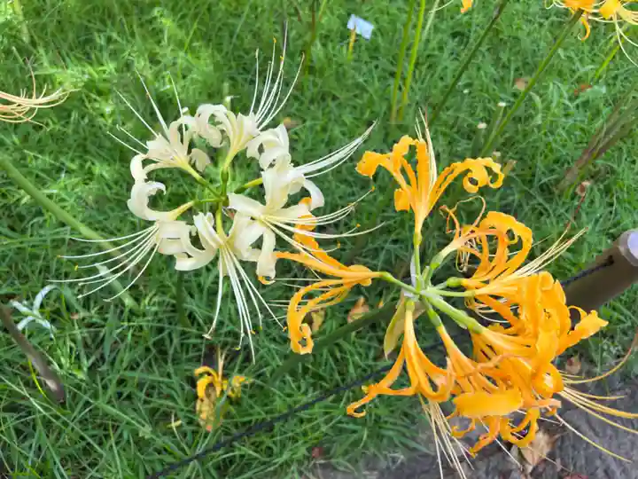 横浜 西方寺(神奈川県)