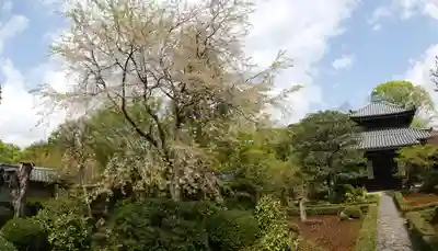 安楽寺(京都府)