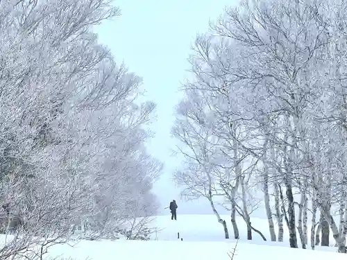 山家神社奥宮の自然