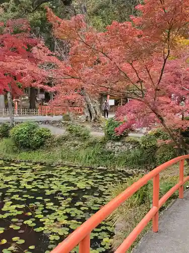 大原野神社の庭園