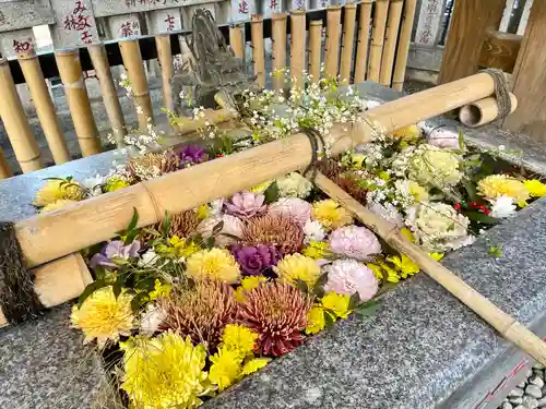 高円寺氷川神社の手水