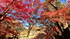 佐久奈度神社(滋賀県)