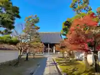 妙顯寺(妙顕寺)の本殿・本堂