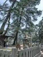 天橋立神社の{uncategorized: "未分類", other: "その他", undefined: "問題あり", building: "その他建物", grave: "お墓", sacred_gate: "鳥居", guardian: "狛犬", statue: "像", buddha: "仏像", history: "歴史", nature: "自然", garden: "庭園", animal: "動物", pagoda: "塔", temizu: "手水舎", mountain_gate: "山門・神門", sanctuary: "本殿・本堂", subordinate: "末社・摂社", art: "芸術", scenery: "景色", jizo: "地蔵", ema: "絵馬", goshuin: "御朱印", omikuji: "おみくじ", items: "授与品その他", amulet: "お守り", goshuincho: "御朱印帳", eats: "食事", festival: "お祭り", votive_dance: "神楽", shichigosan: "七五三参", wedding: "結婚式", experience: "体験その他", initially: "初詣", around: "周辺", anti_infection: "感染症対策"}