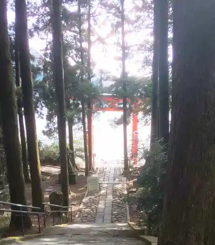 箱根神社(神奈川県)