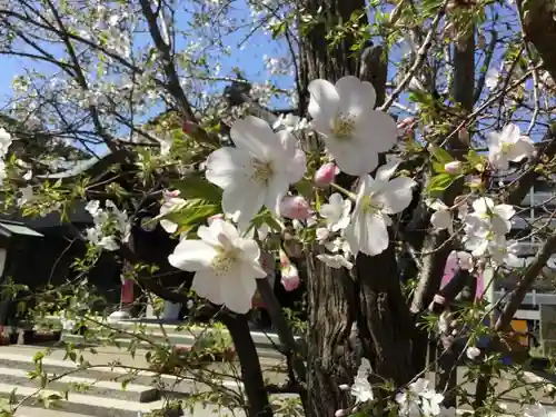 磐井神社の庭園