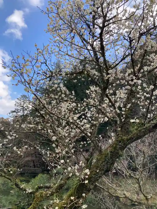 成田山新勝寺(千葉県)