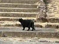 聖天院(埼玉県)