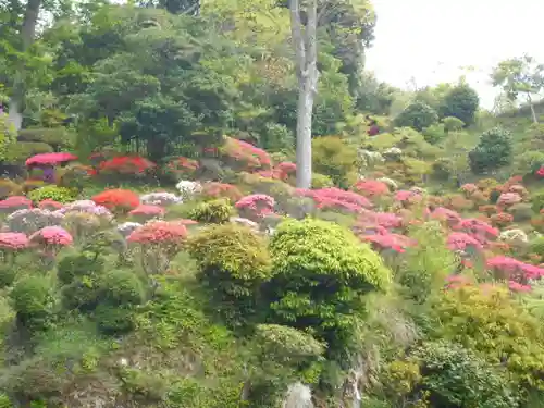 仏行寺（佛行寺）の庭園