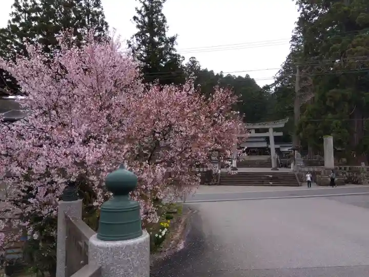 飛驒一宮水無神社(岐阜県)