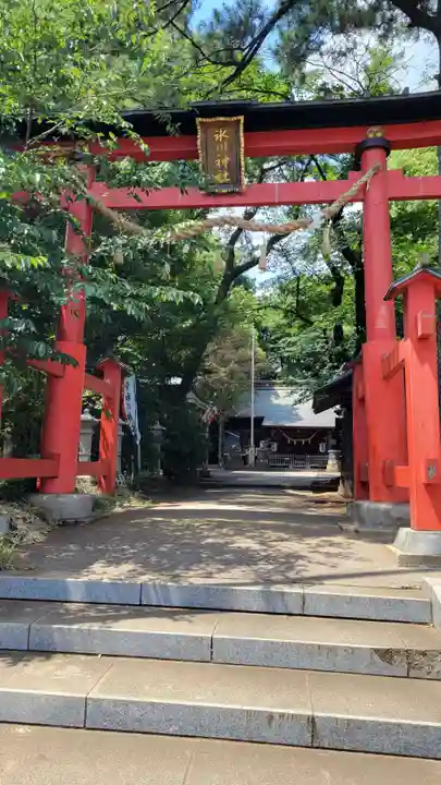 西堀氷川神社の鳥居