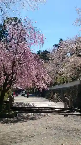 園城寺（三井寺）の庭園