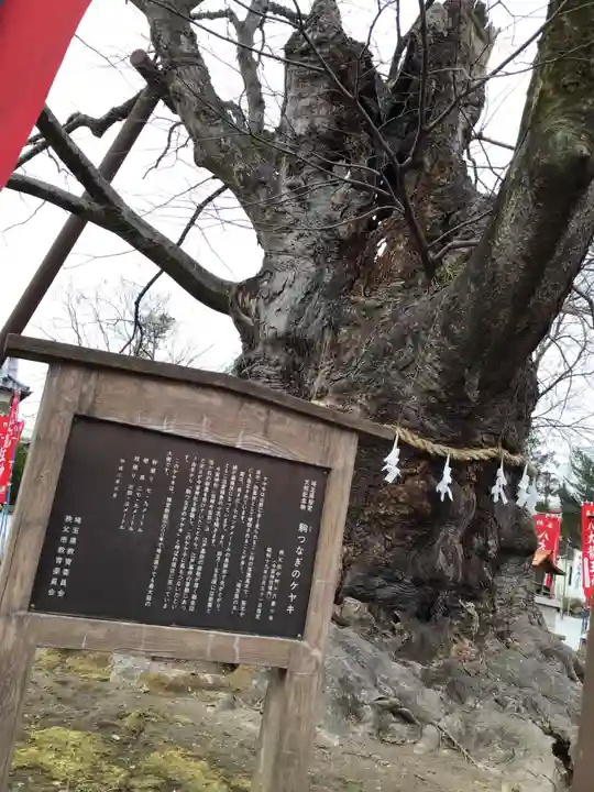 秩父今宮神社の自然