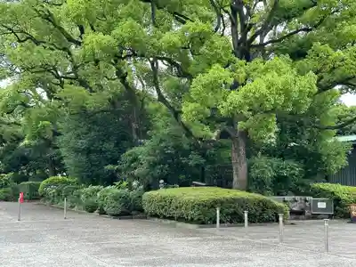 千鳥ヶ淵戦没者墓苑(東京都)