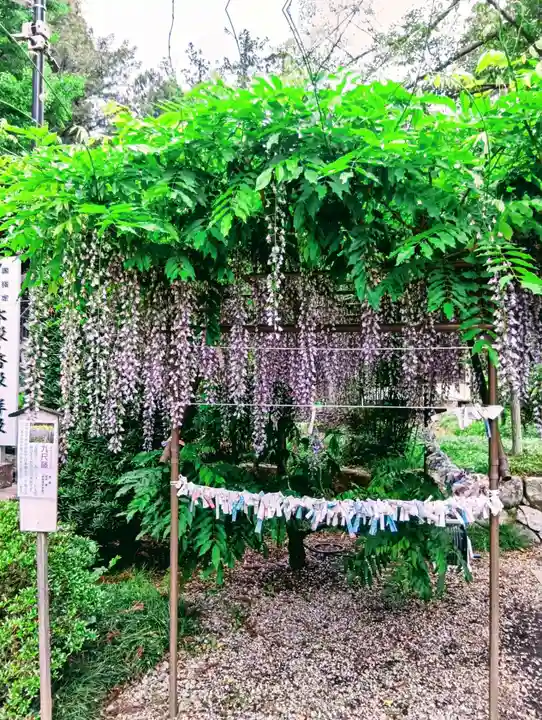 涼ケ岡八幡神社(福島県)