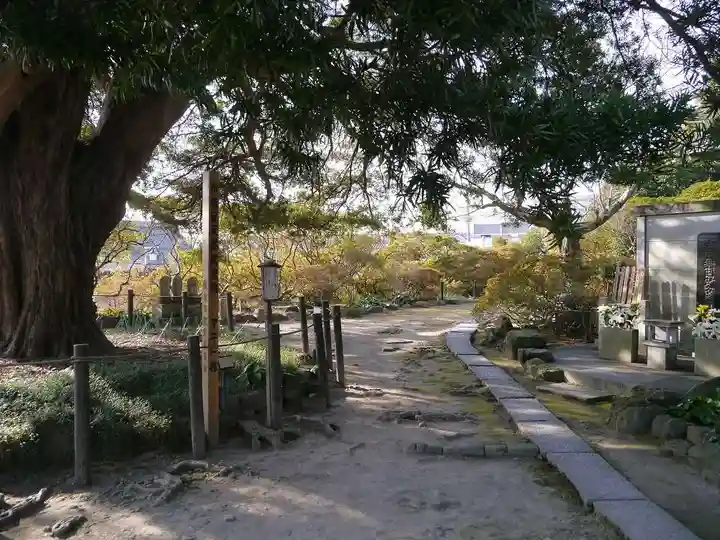 安養院 (田代寺)のその他建物