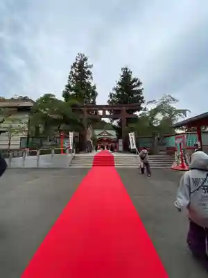 宮城縣護國神社の七五三参