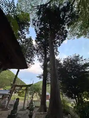 加茂神社(福井県)