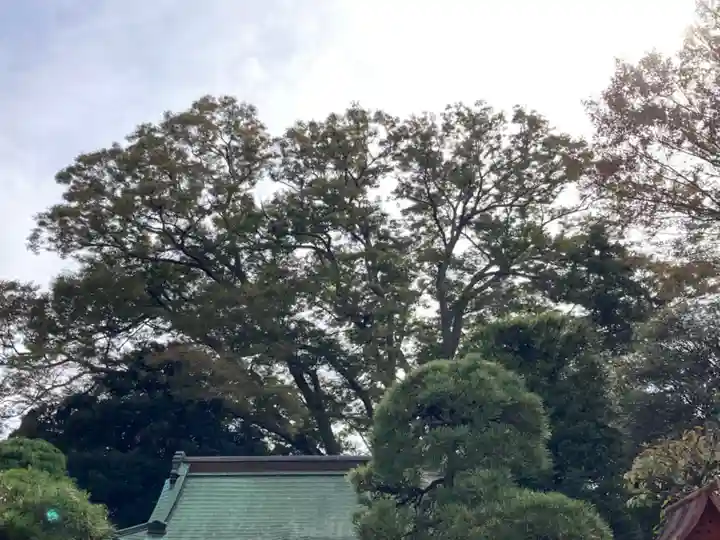 香取神社(関宿香取神社)(千葉県)