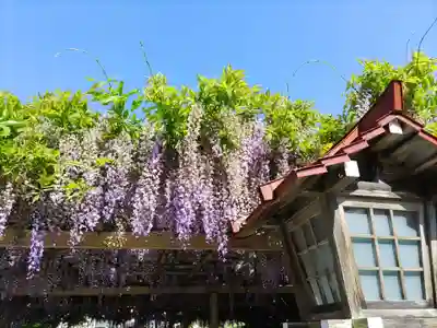 金蛇水神社(宮城県)