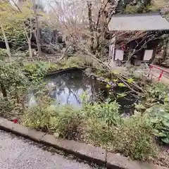 井の頭弁財天（大盛寺）(東京都)