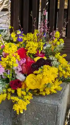 勝林寺(京都府)