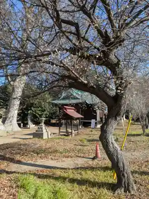 酒門神社(茨城県)