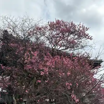 興正寺(京都府)