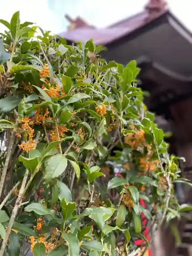 大鏑神社の自然