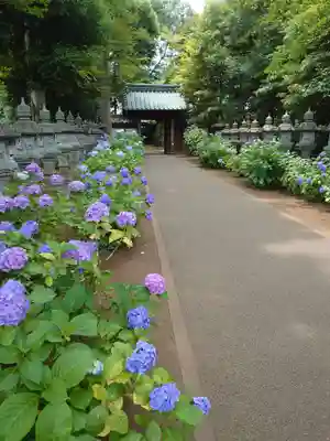 妙法寺の山門・神門