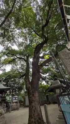 天神社（桑津天神社）(大阪府)