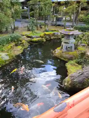 大井神社(静岡県)