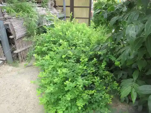 香勝寺(静岡県)