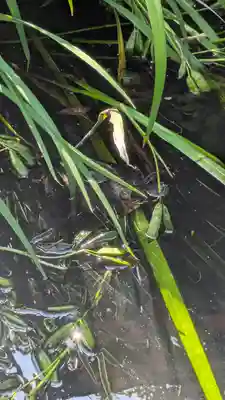 宝蔵寺(京都府)