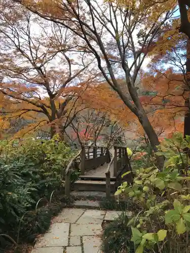 明月院の庭園