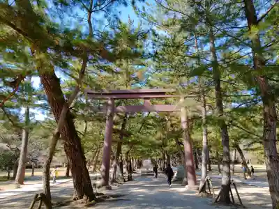 出雲大社(島根県)