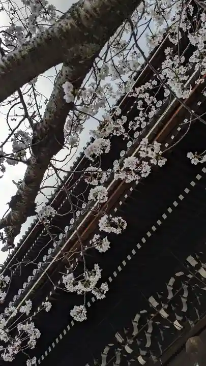 知恩院(京都府)