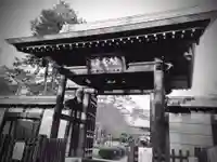 豪徳寺の山門・神門