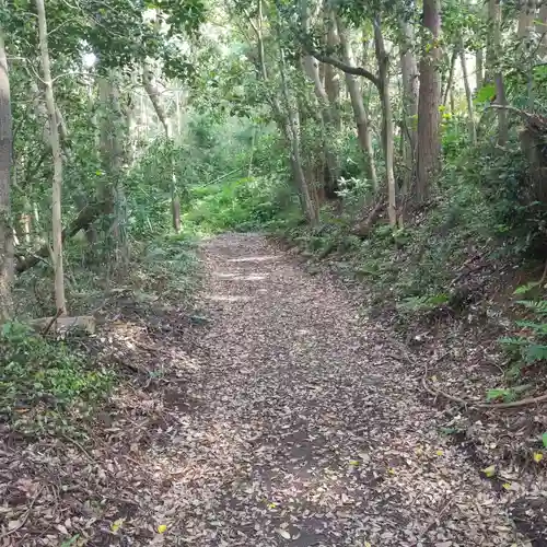 香取神社の自然