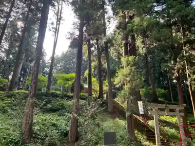 大宮温泉神社(栃木県)