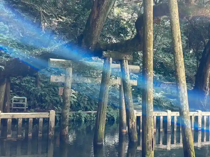 鹿島神宮(茨城県)