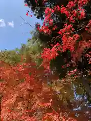 岡太神社(福井県)