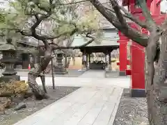 彌彦神社　(伊夜日子神社)の手水