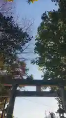 十二所社の鳥居