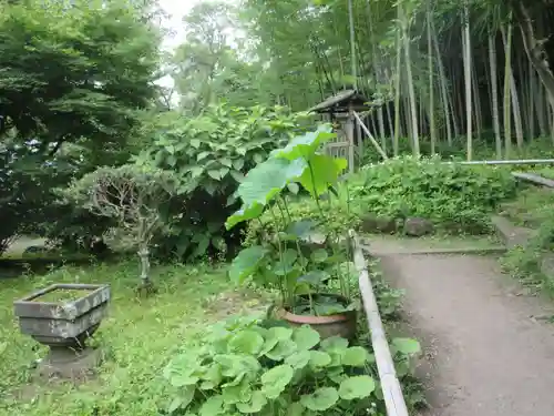 英勝寺(神奈川県)