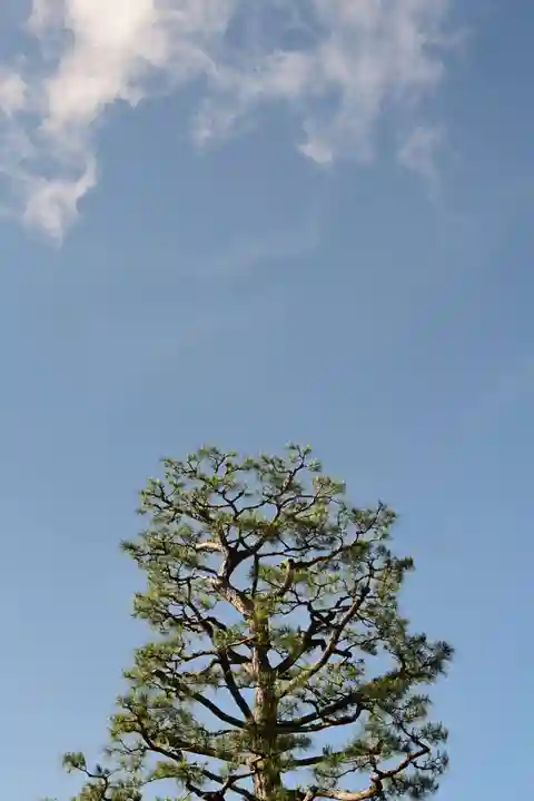鞍馬寺(京都府)