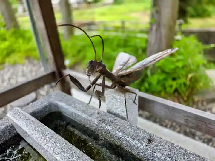 山名神社(静岡県)