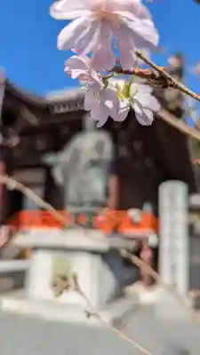 本圀寺(京都府)